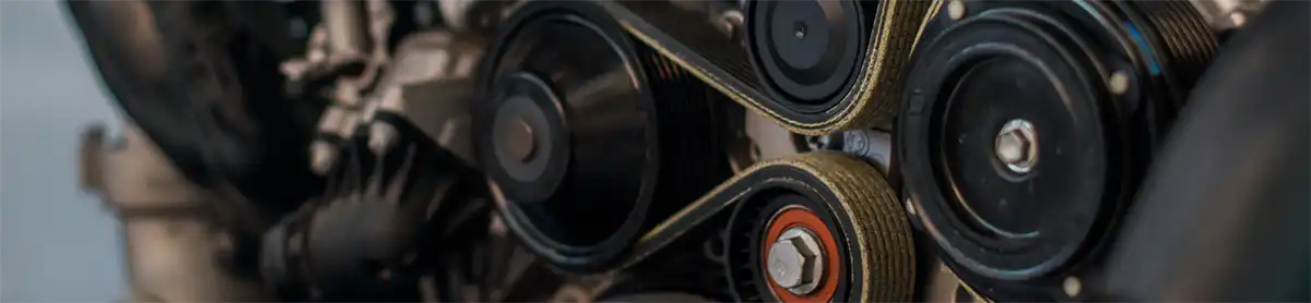Harvard Park Los Angeles Auto Repair Serpentine Belt Replacement