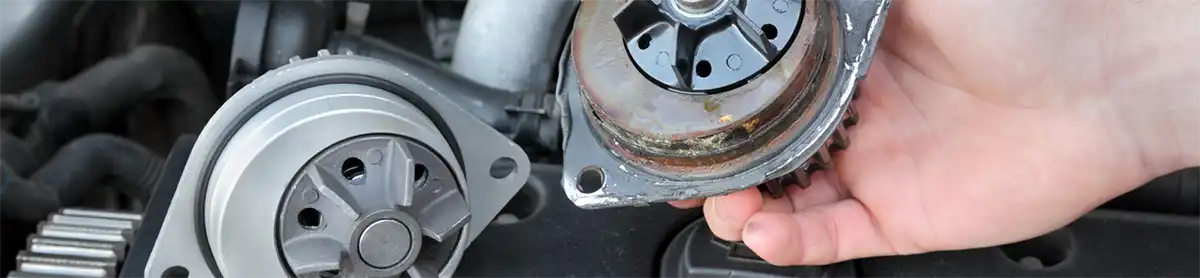 Harvard Park Los Angeles Auto Repair Water Pump Replacement